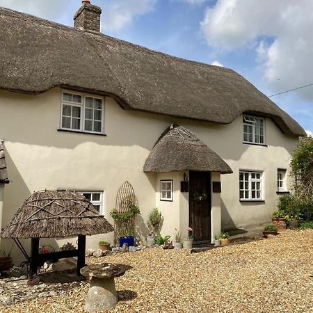 Guest Suite At 31 Little England Milborne Saint Andrew Bagian luar foto